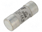 Fuse: fuse | 50A | 690VAC | 440VDC | gG | 22x58mm