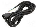 Cable | 3x1mm2 | IEC C14 male,wires | PVC | 3m | black | 10A | 250V