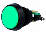 Switch: push-button | Pos: 2 | SPDT | 10A/250VAC | ON-(ON) | green
