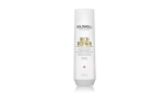 Goldwell Dualsenses Rich Repair Restoring Shampoo 250 ml