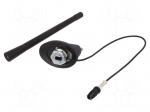 Antenna | 0.175m | Alfa Romeo,Fiat | 0.3m | Rod inclination: constant