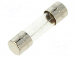 Fuse: fuse | 500mA | 250VAC | medium time-lag | cylindrical,glass