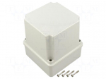 Enclosure: junction box | X: 109mm | Y: 109mm | Z: 126mm | wall mount