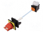 Main emergency switch-disconnector | Poles: 3 | on panel | 12A | IP65