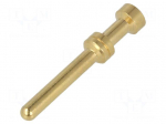Contact | male | 1mm2 | Han E | gold-plated | crimped | 16A | copper alloy