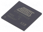 ARM microprocessor | ARM926 | SRAM: 32kB | 0.9&divide;1.1VDC | SMD | LFBGA217