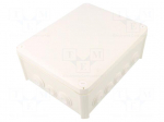 Enclosure: junction box | X: 190mm | Y: 240mm | Z: 95mm | IP66 | white