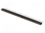 Connector: pin strips | socket | female | PIN: 30 | THT | straight | 2mm