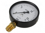 Manometer | 0&divide;16bar | Class: 1.6 | 100mm | Temp: -20&divide;60&deg;C | 111.12