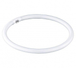 TRIO 981-22 spuldze 22W G10q spuldze