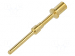 Contact | gold-plated | crimped