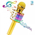 Microphone Riff WS-858 Karaoke for Kids & Parents with Speakers & Recording Micro USB AUX Golden