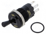 Switch: toggle | Pos: 2 | SPDT | ON-ON | 5A/250VAC | -40&divide;85&deg;C | IP67 | brass