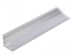 Profiles for LED modules | surface | natural | L: 1m | aluminium
