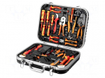 Tools set: general purpose | case | for electricians | 1kV | 25pcs.