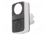 Switch: double | Stabl.pos: 1 | 22mm | white/black | Illumin: none | IP66
