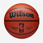 Wilson NBA Authentic Indoor & outdoor Brown
