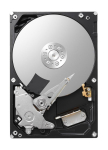 Toshiba Storage P300 2 TB (SATA 6 Gb/s, 3,5", Bulk)
