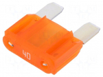 Fuse: fuse | 40A | 32V | automotive | 29mm | MAXI