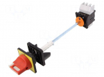 Main emergency switch-disconnector | Poles: 3 | on panel | 40A | IP65