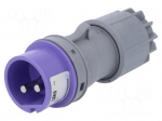 Connector: AC supply | plug | male | 32A | 24VAC | IEC 60309 | IP44 | PIN: 2