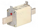Fuse: fuse | 315A | 500VAC | 250VDC | ceramic,industrial | NH1