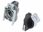 Switch: rotary | NO | 3A/240VAC | 0.55A/125VDC | 22mm | black | IP66