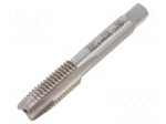 Tap | M12 | 1.75 | L: 75mm | Holder: machine | 7mm | ISO2/6H
