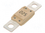 Fuse: fuse | 225A | 32VDC | automotive