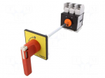 Main emergency switch-disconnector | Poles: 3 | 175A | IP65 | 37kW
