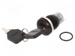 Switch: key switch | Stabl.pos: 2 | Switch.method: ON-ON | &Oslash;19mm | 90&deg;