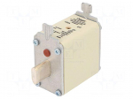 Fuse: fuse | 125A | 500VAC | gG | industrial | NH00