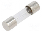 Fuse: fuse | cylindrical,glass | 1A | 250VAC | time-lag | 5x20mm | S506