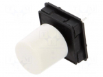 Microswitch TACT | SPST-NO | Pos: 2 | 0.125A/48VDC | THT | 2.5N | 13.75mm