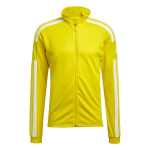 adidas Squadra 21 Training Men's Sweatshirt Yellow GP6465 L