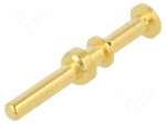 Contact | EPIC&reg; | brass | gold-plated | crimped | 3.6mm