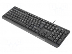 Keyboard | TROUT | black | USB A | CZ layout,wired,SK layout,slim
