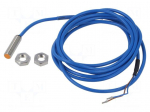Sensor: inductive