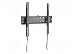 Gembird WM-55F-02 TV Wall Mount (Fixed) 32"-55"