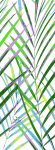 Paneel PVC 330 MOTIVO JUNGLE 2,65m