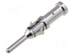 Contact | male | 18AWG&divide;14AWG | Buccaneer 6000 | nickel plated | brass