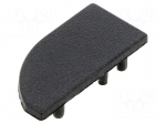 Cap for LED profiles | black | 2pcs | ABS | WAY10