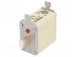 Fuse: fuse | 160A | 500VAC | gG | industrial | NH00