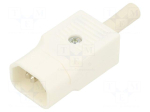 Connector: AC supply | plug | male | power supply | 10A | 250VAC