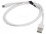 Cable | USB 2.0 | USB A plug,USB C plug | nickel plated | 3m | white
