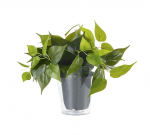 Trio-Lighting Artificial plant for Plant  piekaramā lampa