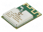 Module: Bluetooth Low Energy | Bluetooth: 5.2,BLE | 5dBm | Class: 2