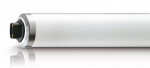 PHILIPS TL 100W/01 SLV/10 spuldze Phototherapy 928034900130 8718696662335