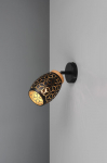Trio Bidar spotlight 1-pc E14 matt black/gold gaismeklis R81571780 4017807640649