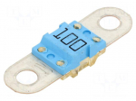 Fuse: fuse | automotive | 100A | 58VDC | medium time-lag | M5 screw | BF1